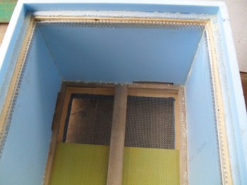 SDC10026 (Copy).JPG