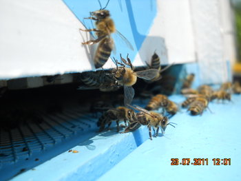 DSCN1161.JPG