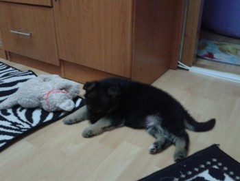 20140217_180438.jpg