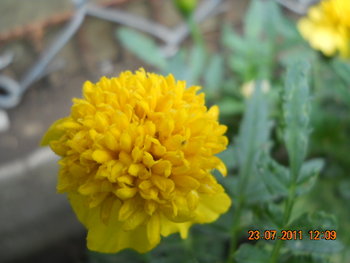DSCN1219.JPG