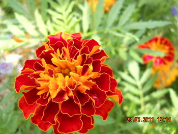DSCN1224.JPG