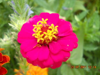 DSCN1223.JPG