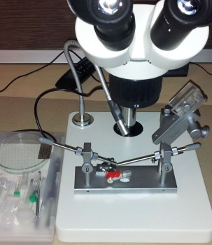 20140224_174235.jpg