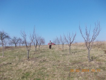 rsz_picture_011.jpg