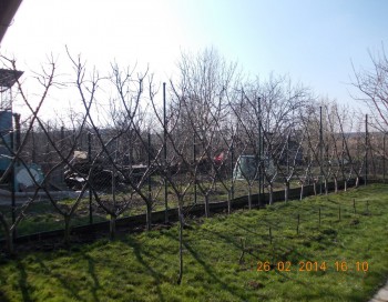 rsz_1picture_019.jpg