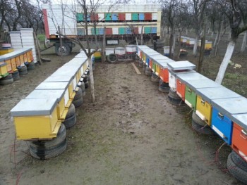 13931025645210.jpg