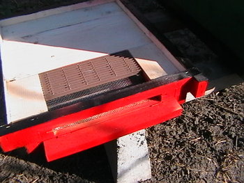 IMGA0205.JPG