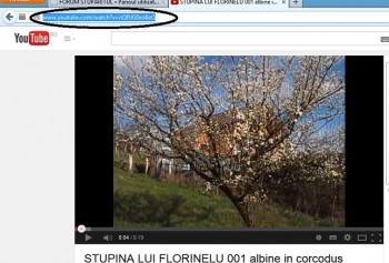 f02.jpg