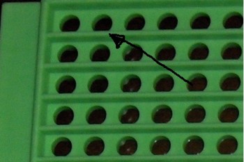 024p2.jpg