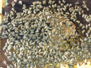 20140309_141033.jpg