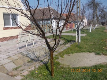 rsz_1picture_008.jpg