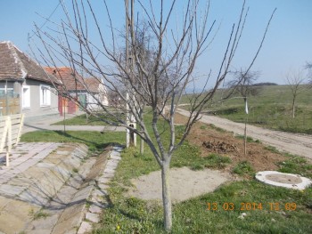 rsz_picture_009.jpg