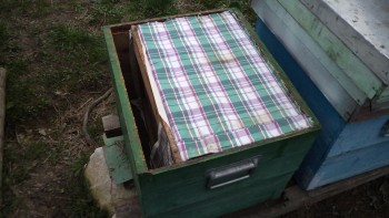 file2.jpg