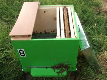 DSCF1493 (Small).JPG