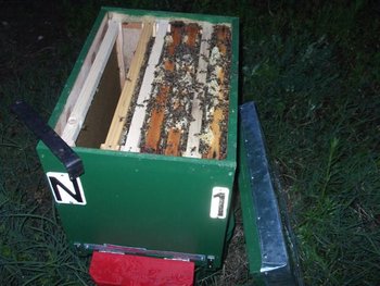 DSCF1479 (Small).JPG