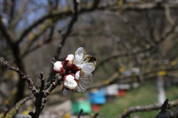 IMG_6278.JPG