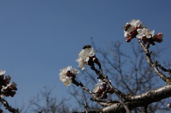 IMG_6283.JPG