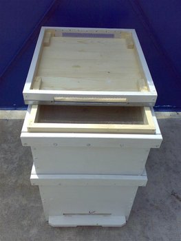 25072011073 (Medium).jpg