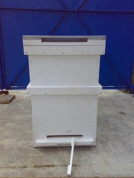 25072011069 (Medium).jpg