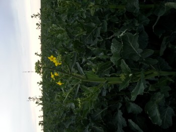 20140326_182135.jpg