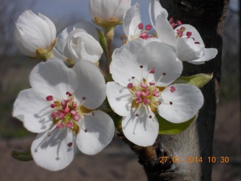 rsz_picture_025.jpg