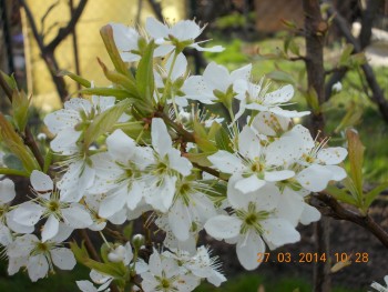 rsz_1picture_022.jpg