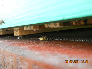 DSCN1247.JPG