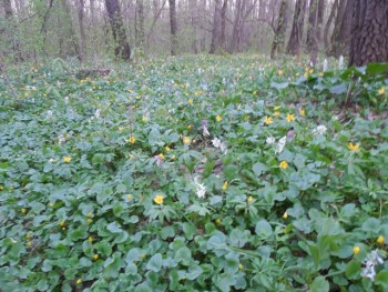 DSCN8579.JPG