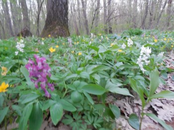 DSCN8583.JPG