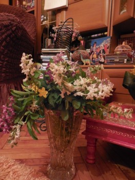 DSCN8588.JPG
