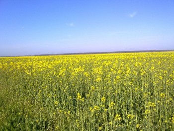 09042014045.jpg