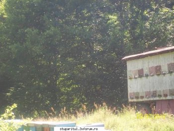 ok_116117.jpg