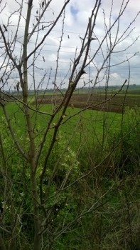 WP_20140420_001 (Copy).jpg