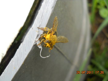 DSCN1290.JPG