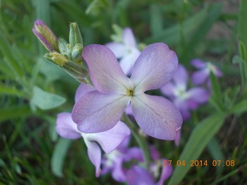 rsz_picture_010.jpg