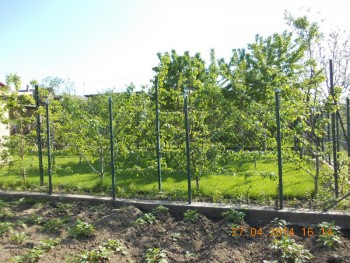 rsz_1picture_001.jpg