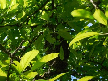 DSCN8652.JPG