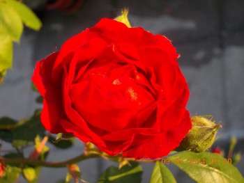 rsz_picture_026.jpg