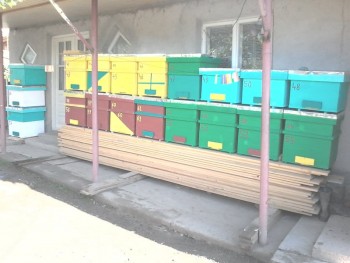rsz_20140513_084337.jpg