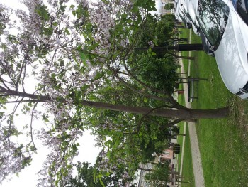 20140514_135959.jpg