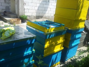 2014-05-20 13.10.54.jpg