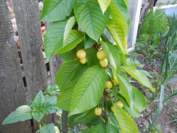 DSCN9030.JPG