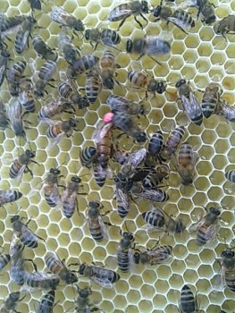 26052014707.jpg