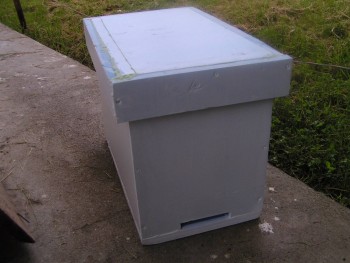 PICT1.jpg