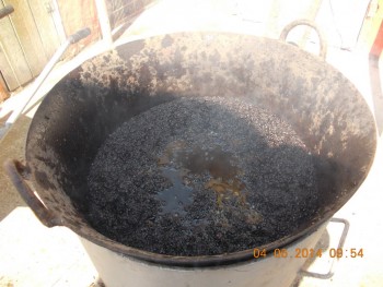 rsz_1picture_024.jpg