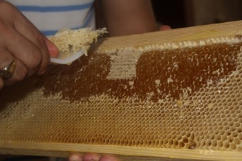 IMG_8030.JPG