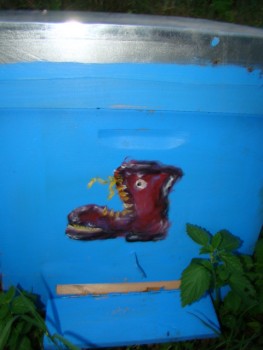 DSC03610.JPG (144.21 KiB) Vizualizat de 5904 ori DSC03610.JPG