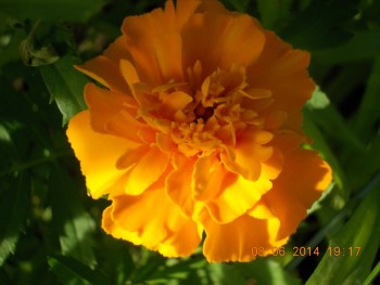 rsz_picture_002.jpg
