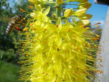 rsz_picture_006.jpg