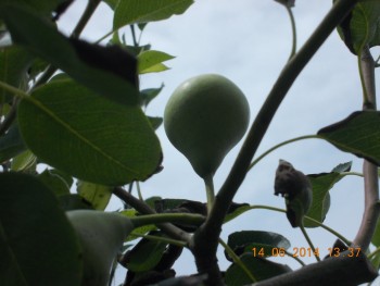rsz_picture_031.jpg